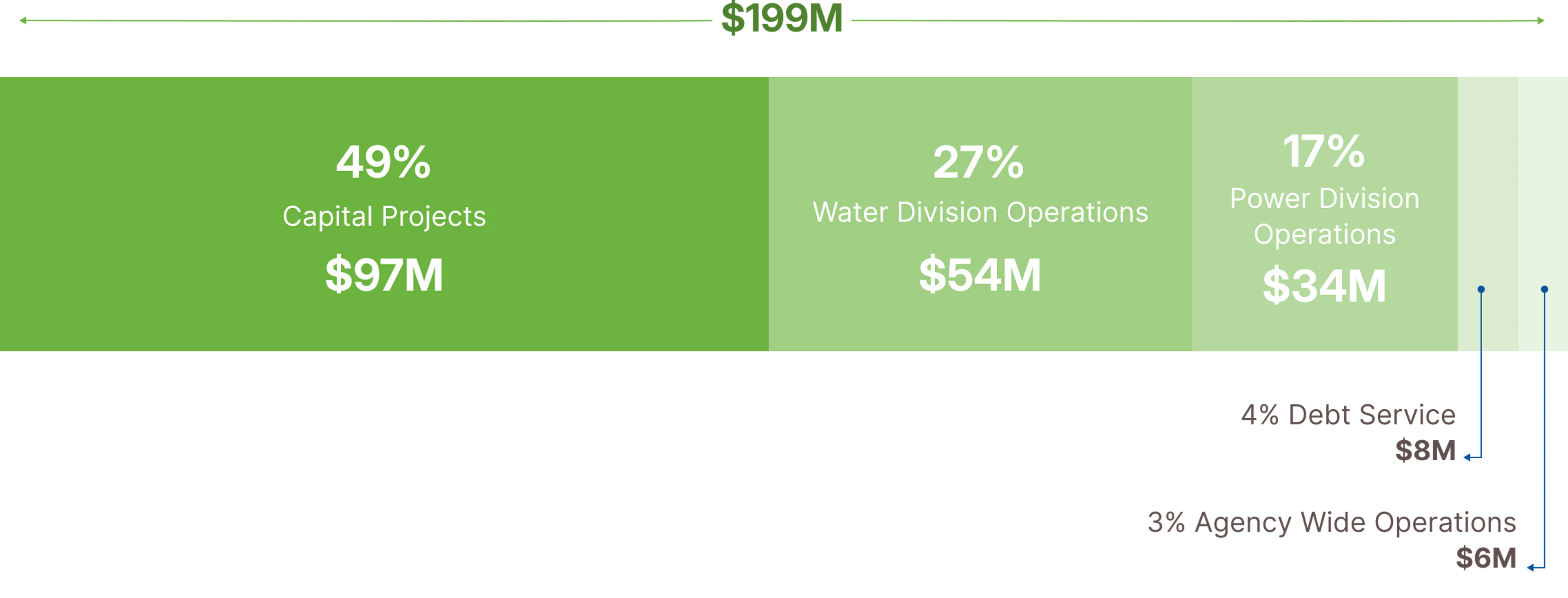 Adjusted agency budget chart - 2025