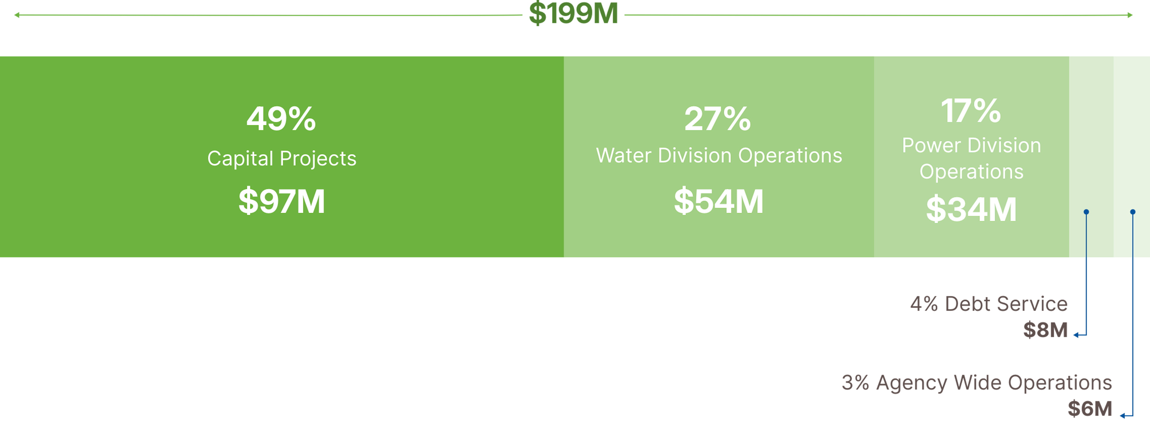 Adjusted agency budget chart - 2025
