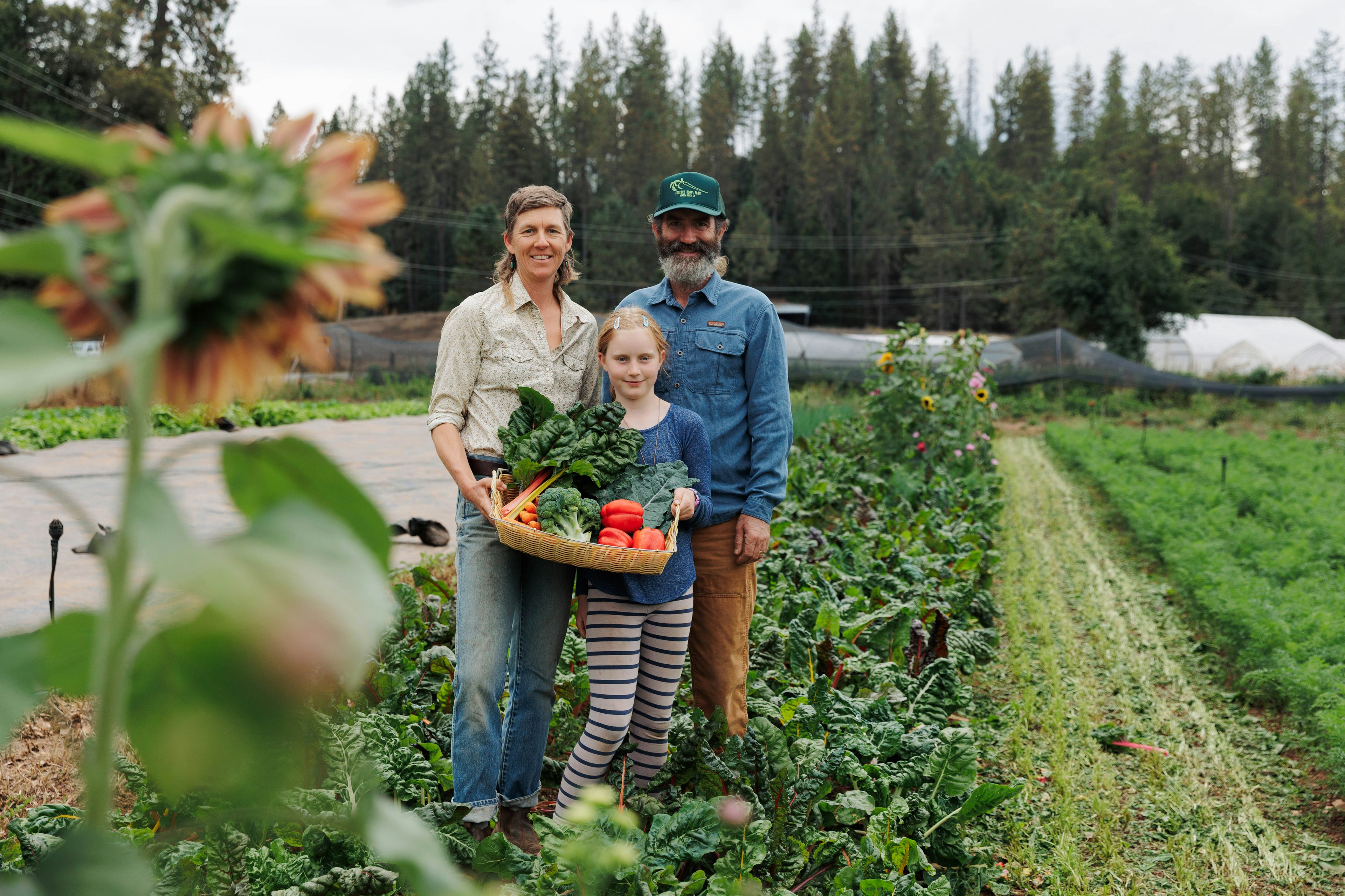 Foothill Roots Farm in Meadow Vista