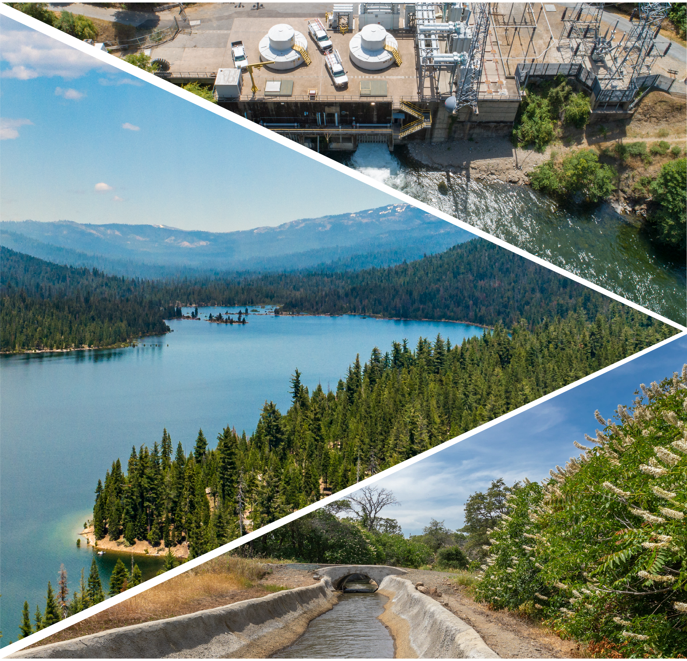 Thumbnail image and link for Strategic Roadmap 2026-2030 publication