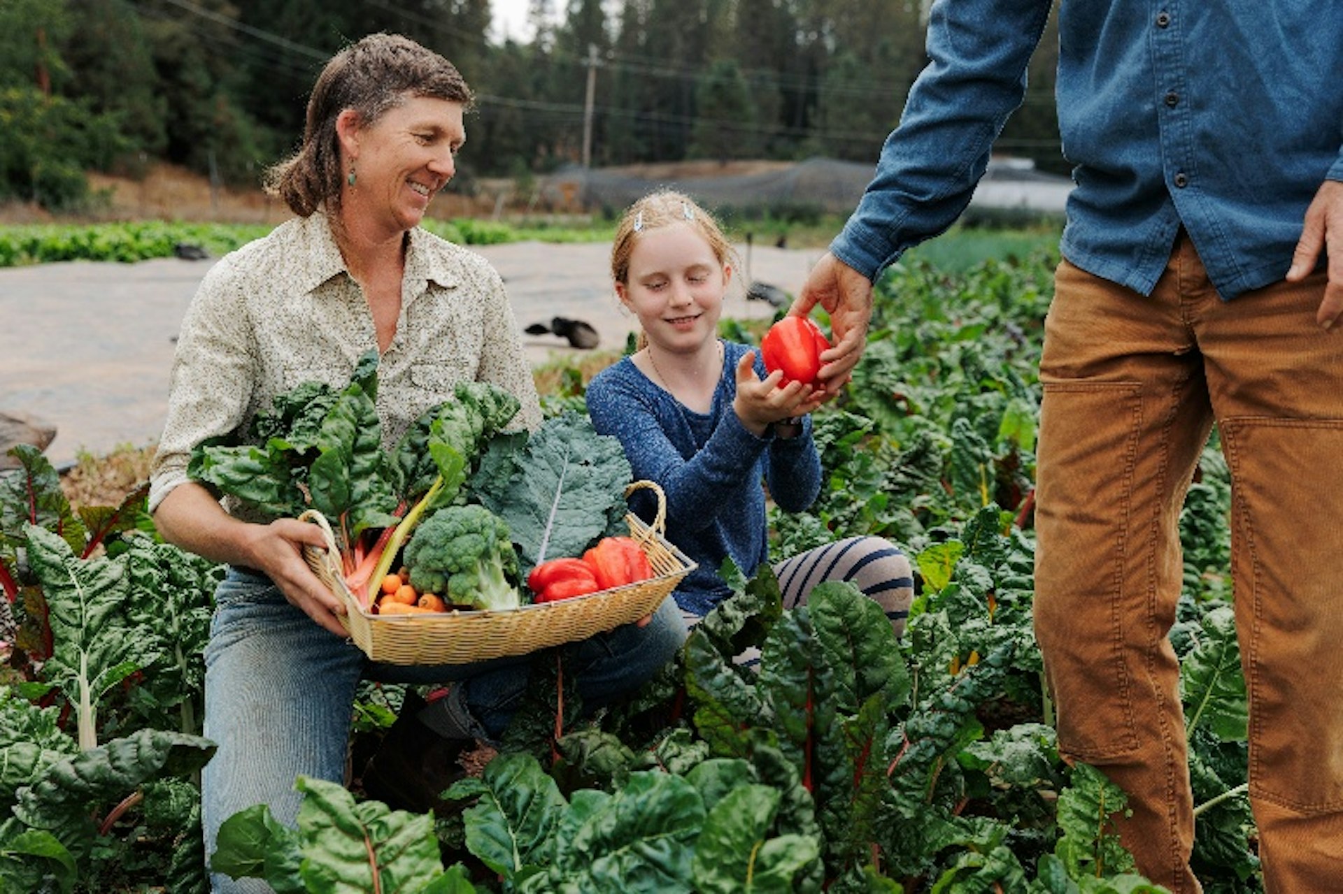 Diane and Sage working at the farm