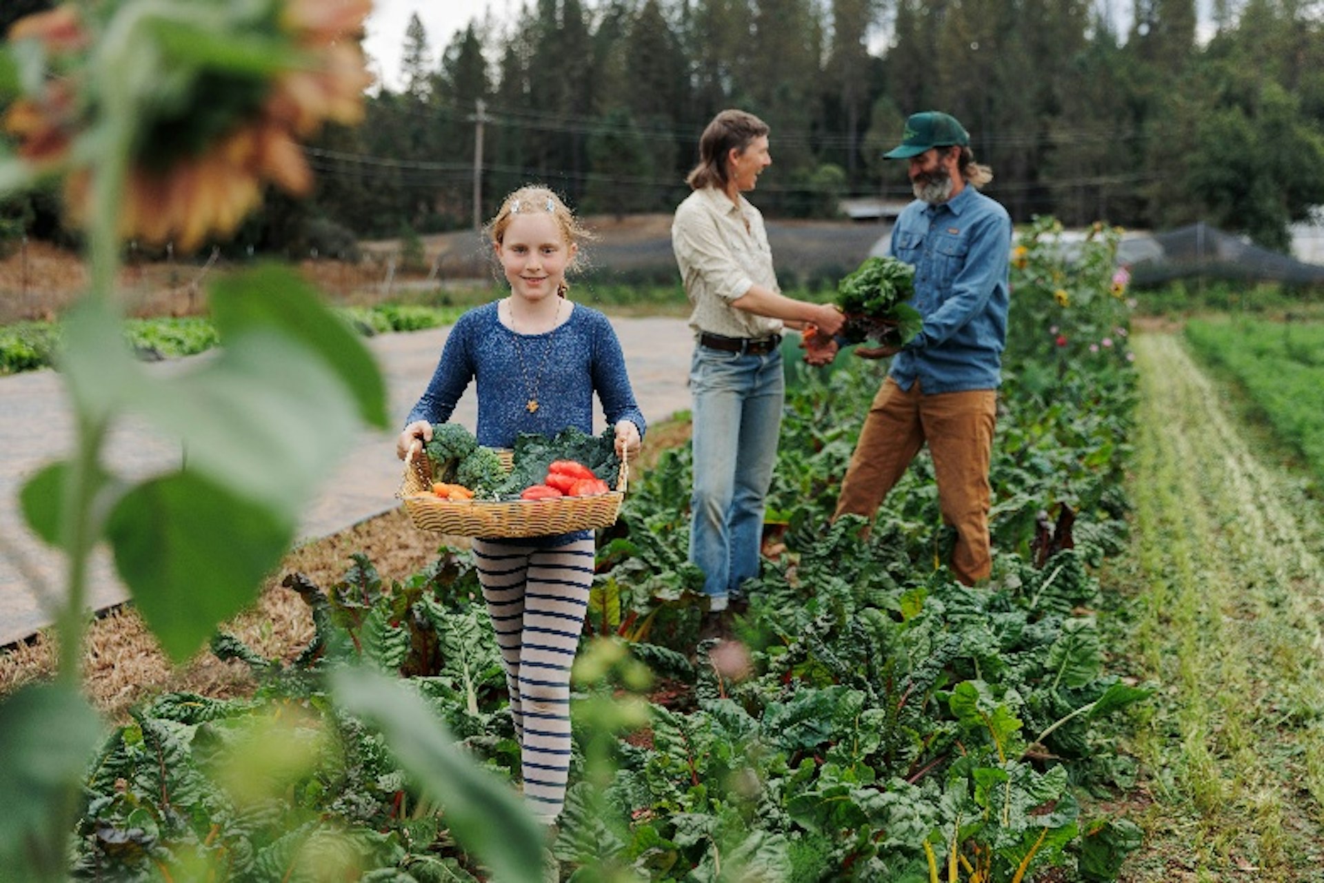 Diane, Sage, and Patrick working at the farm