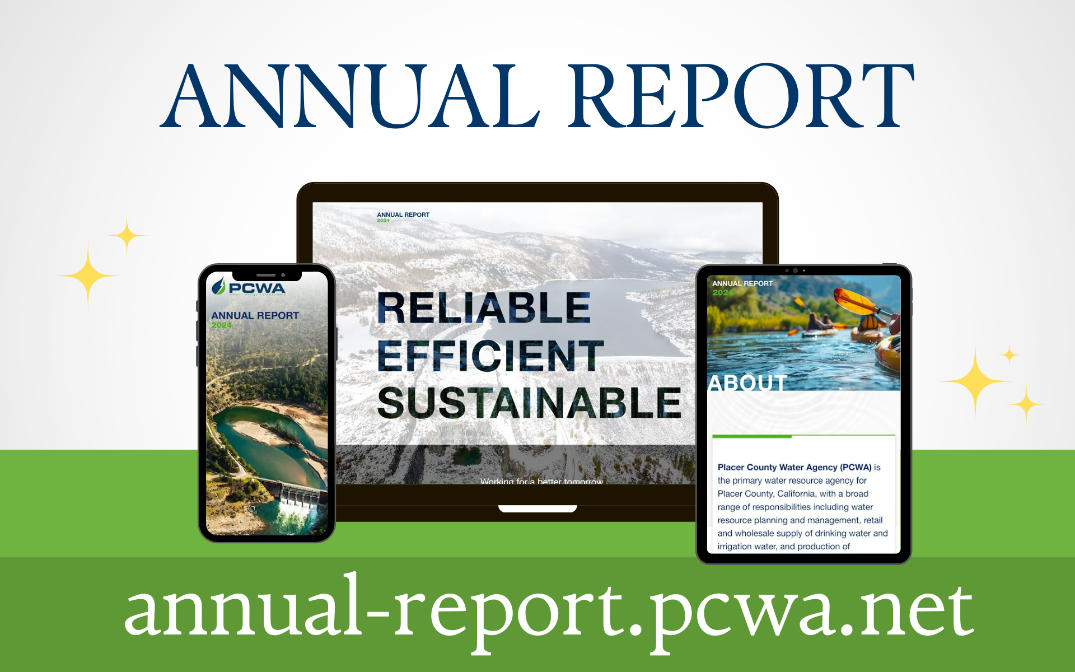 Explore the 2024 Annual Report