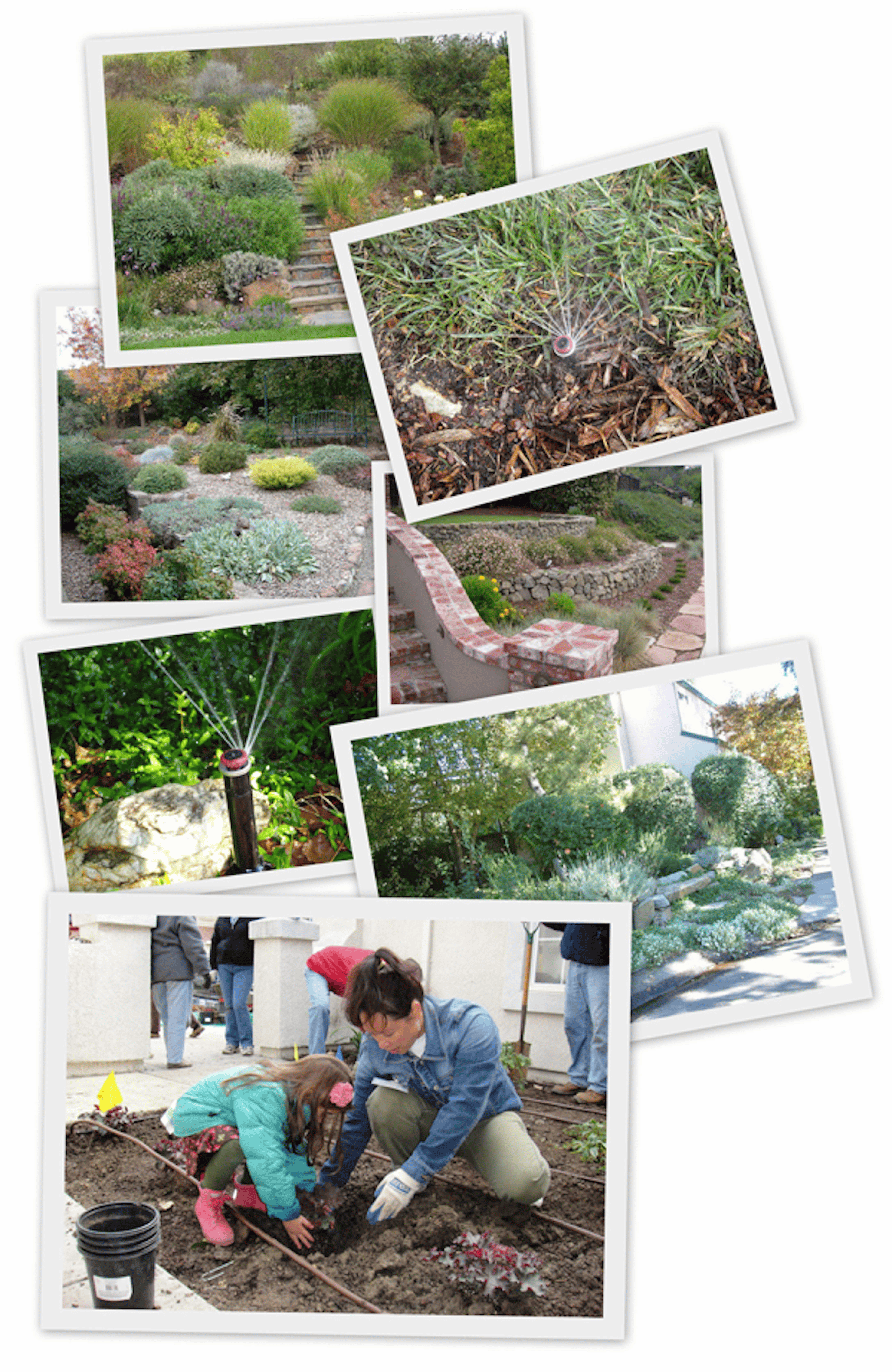 Landscaping Photo Collage
