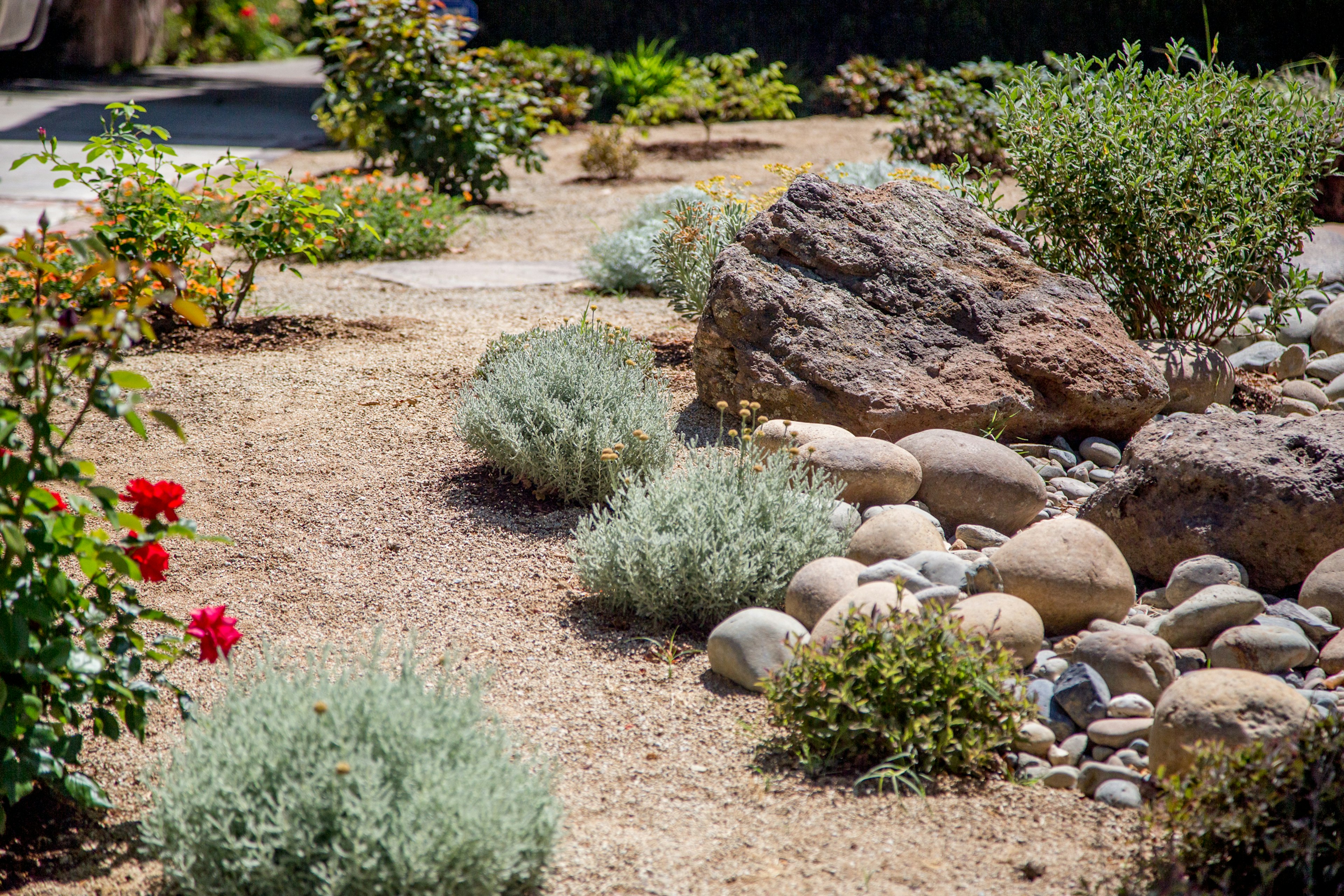 Fire-wise water-wise landscaping garden