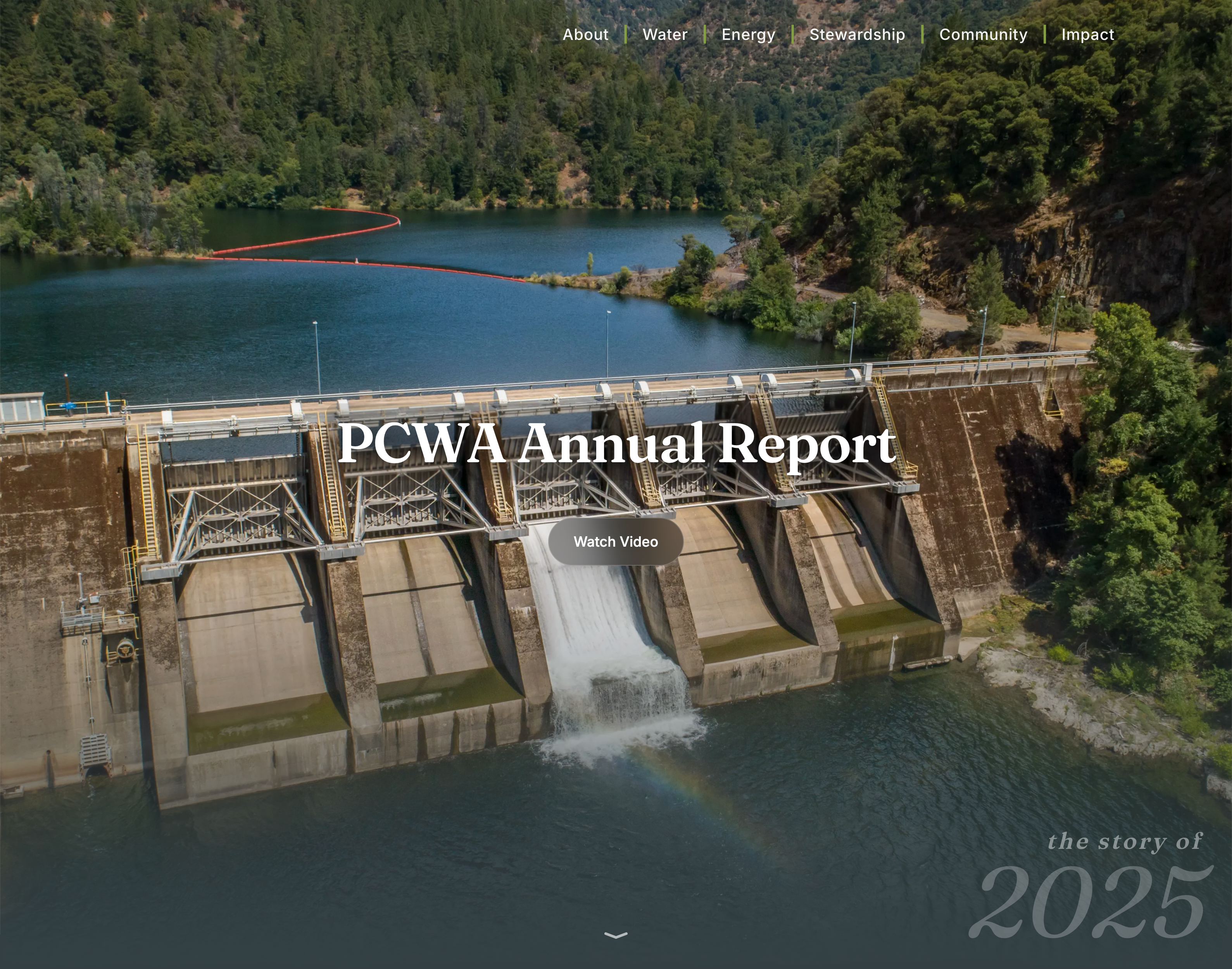 Thumbnail image and link for 2025 Year End Report publication