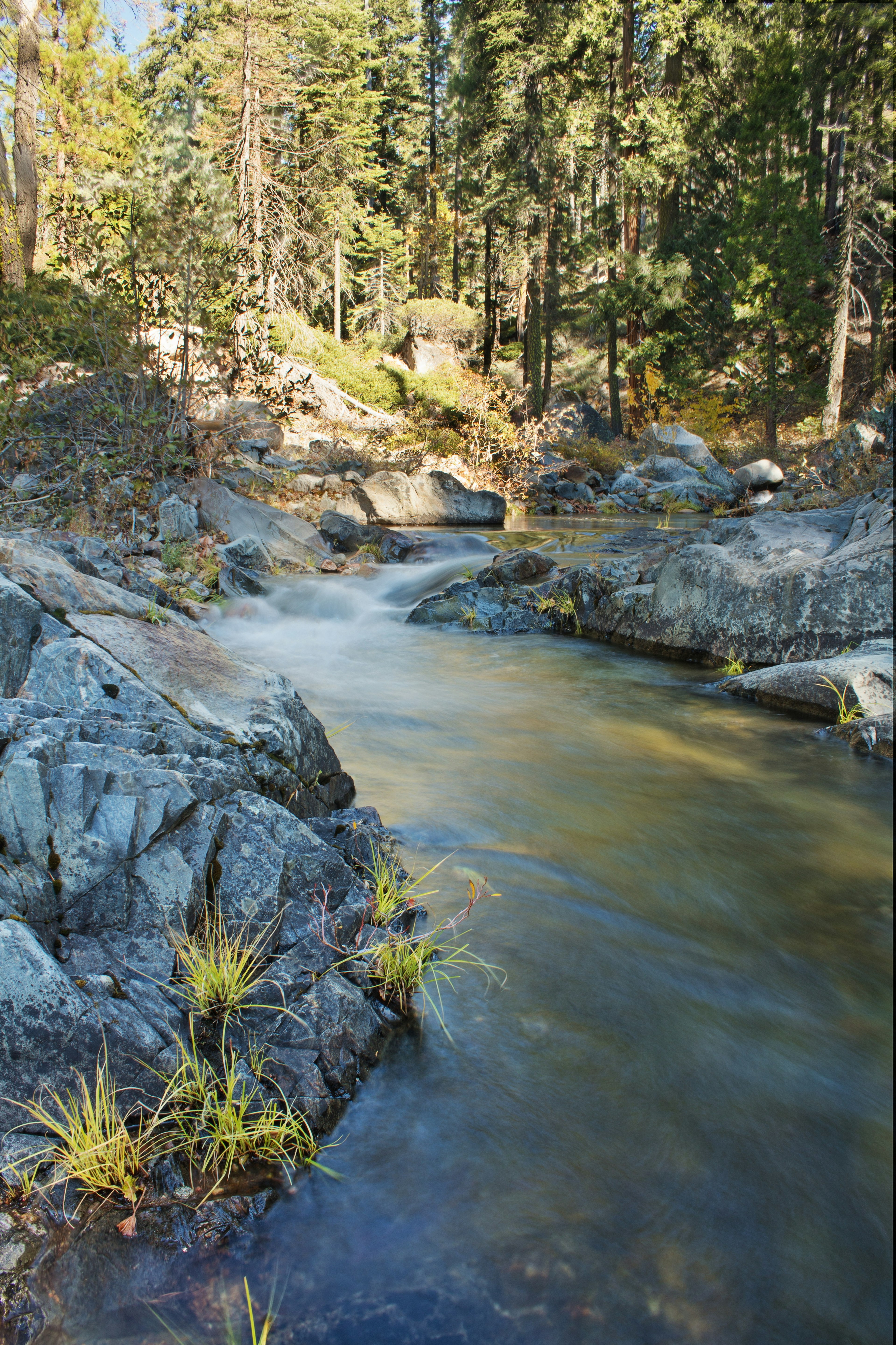 Thumbnail image for Middle Fork Project gallery