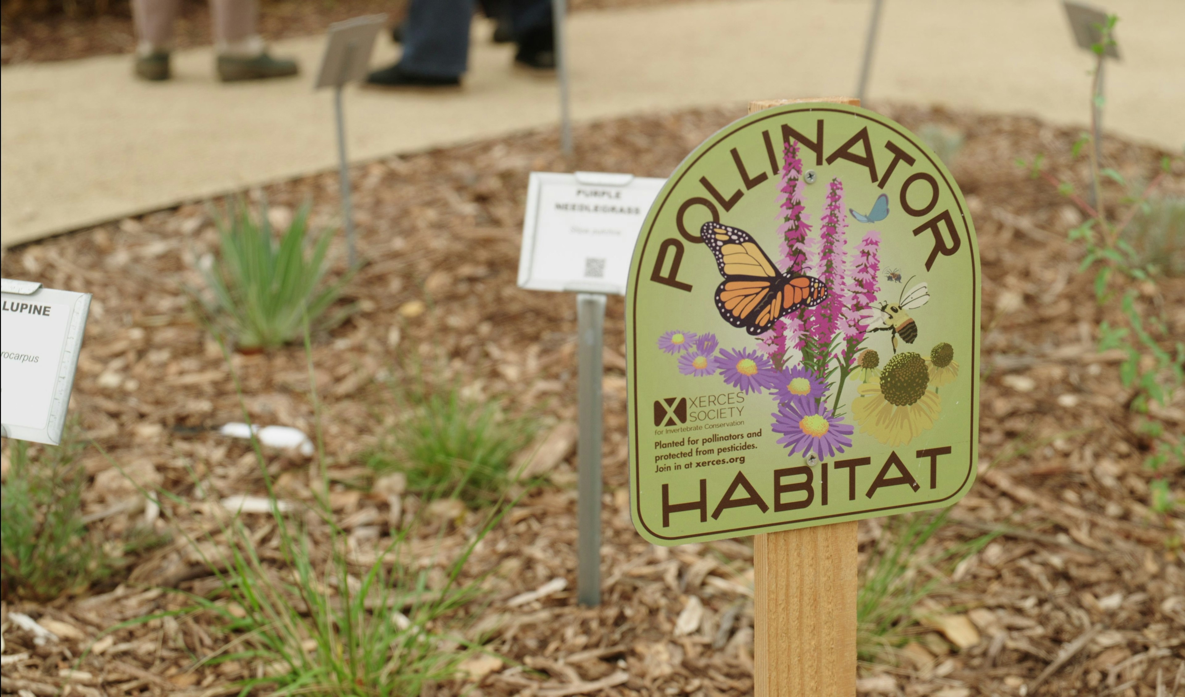 Loomis Demonstration Master Gardener Garden photo 1