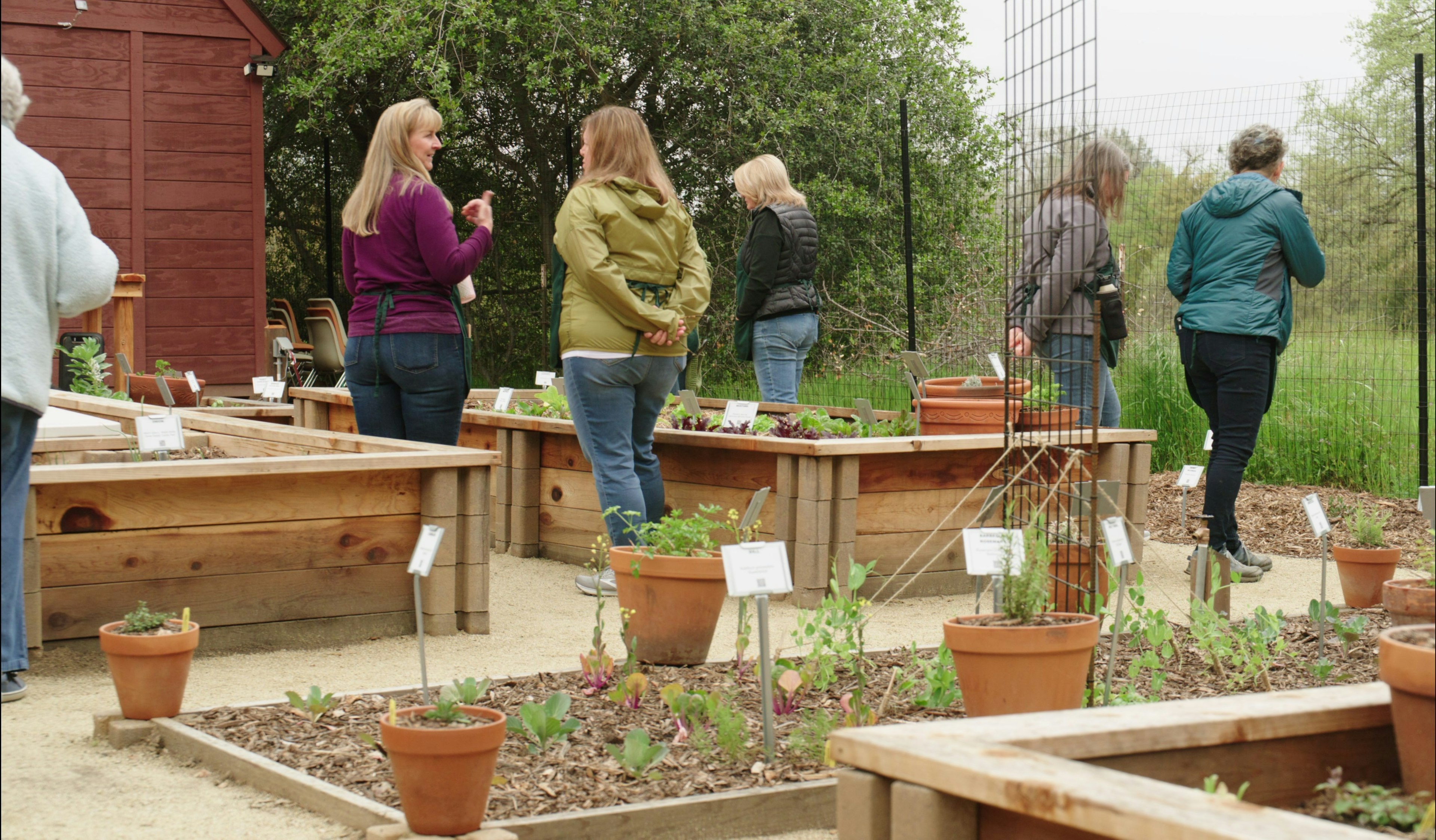 Loomis Demonstration Master Gardener Garden photo 4