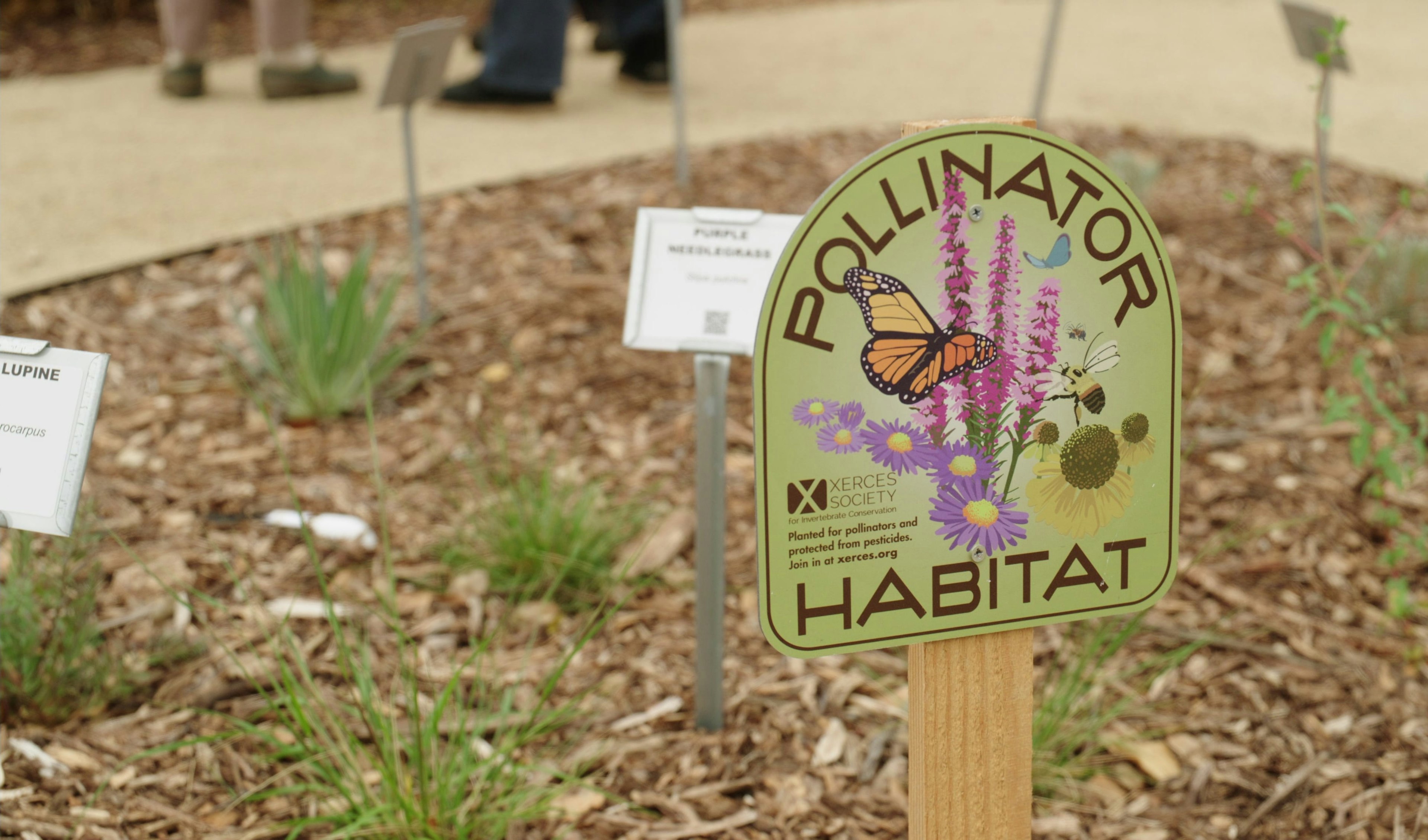 Loomis Demonstration Master Gardener Garden photo 1